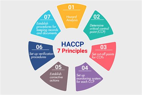 betekenis haccp|10 haccp principes.